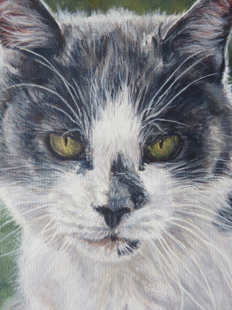cat portrait painting detail