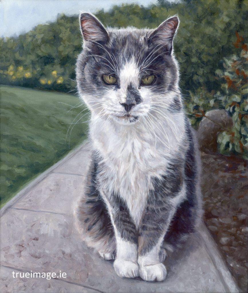 acrylic painting of a tabby cat