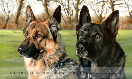 two german shepherds portrait painting