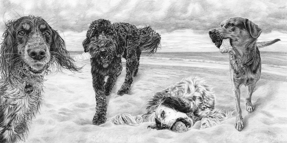 commissioned pet portrait of a springer spaniel, black poodle, dalmatian and coonhound dog