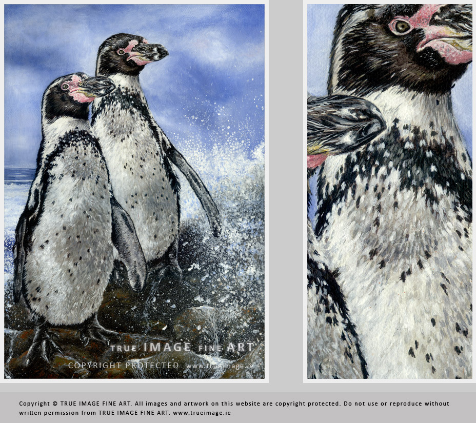 humboldt penguins wildlife art in acrylic