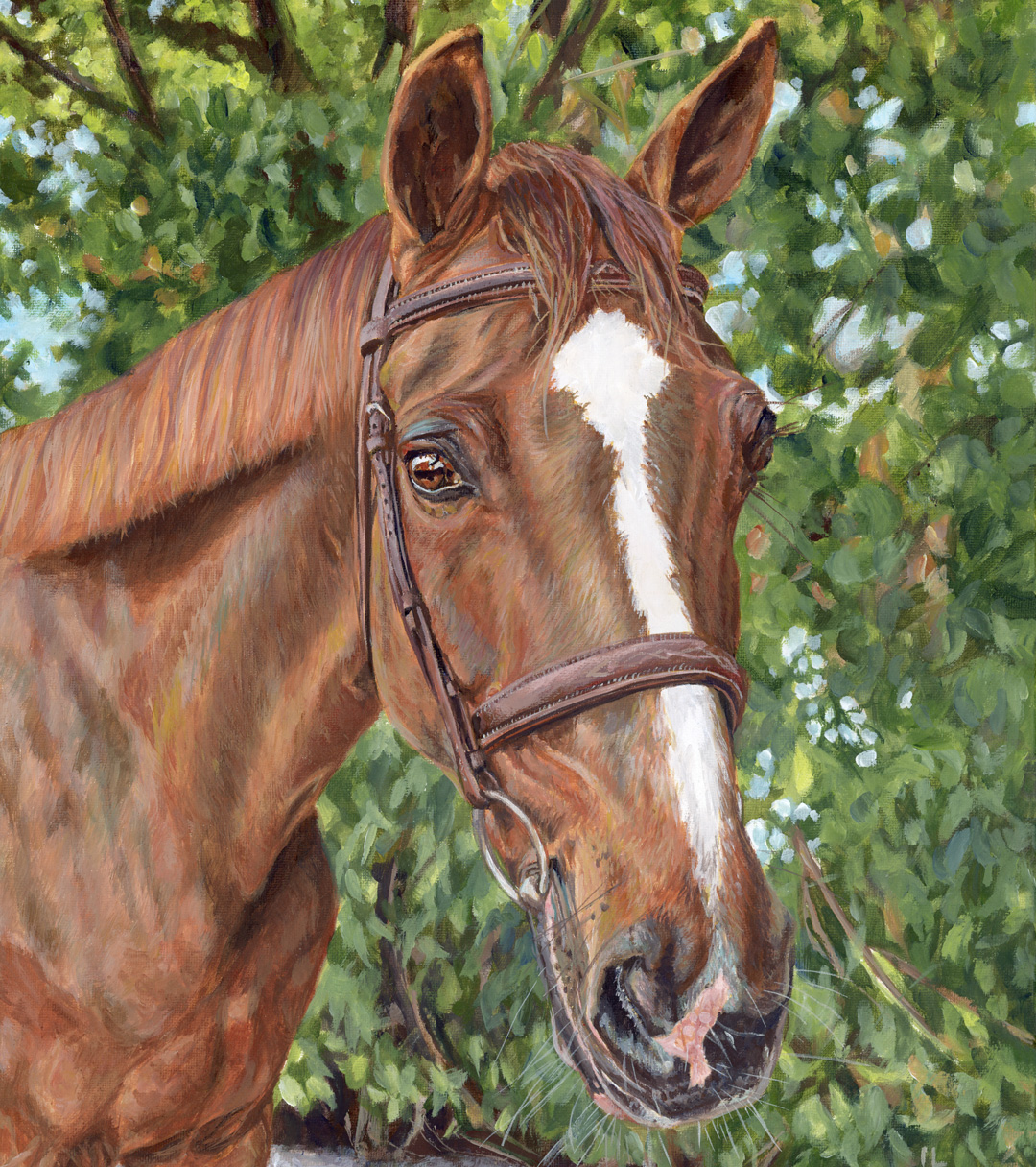 portrait artist, wedding portraits and sport art, occassion gifts, equine paintings, landscape and house portraits in pencil or acrylic from your photos by a portrait artist in kilcock ireland