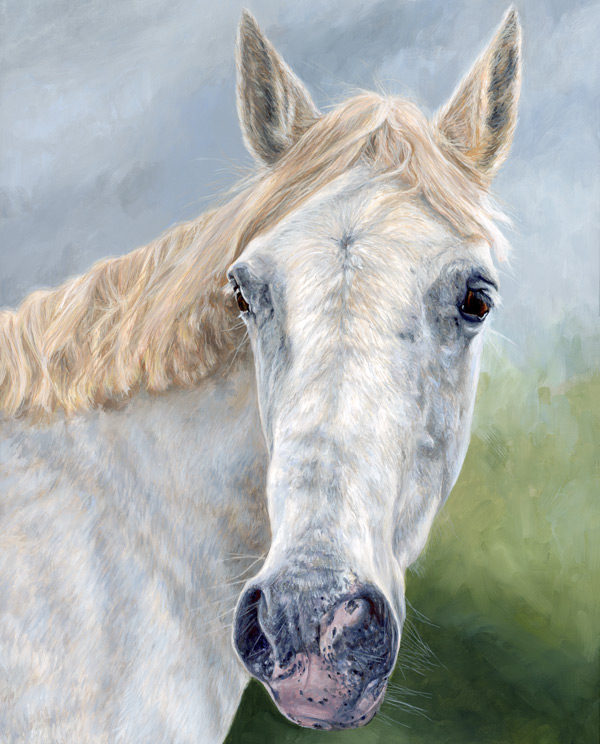 Cat, Dog, Horses and other Pets Portraits Gallery of Acrylic Paintings