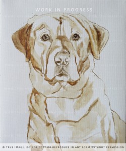 acrylic painting of a labrador - part 1