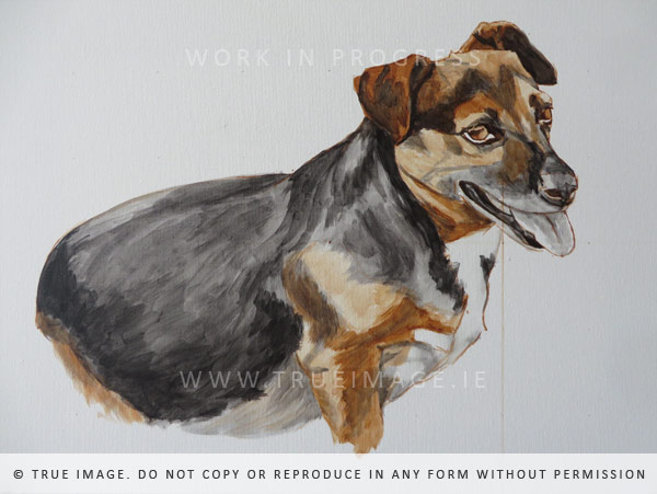 dog portrait painting - work in progress 2