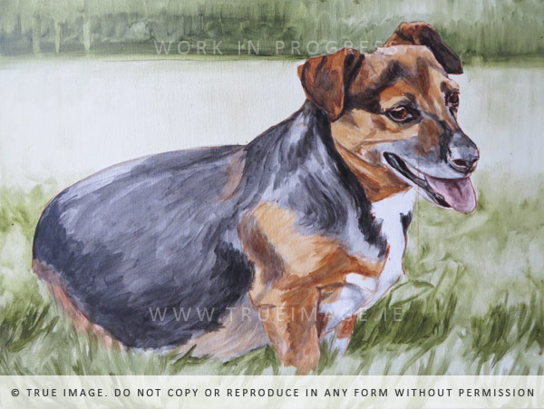 dog portrait painting - work in progress 3