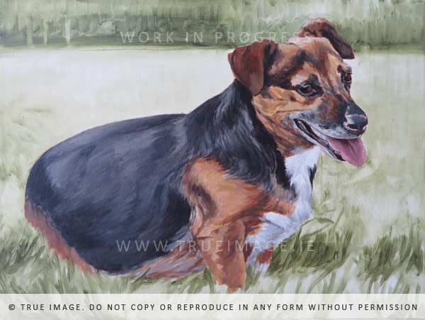 small dog portrait painting - work in progress 4