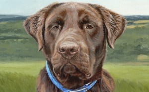 chocolate labrador painting detail