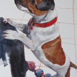 jack russell portrait painting - colour blocking work in progress
