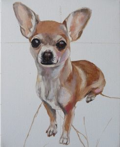 progress image 1 of a chihuahua painting
