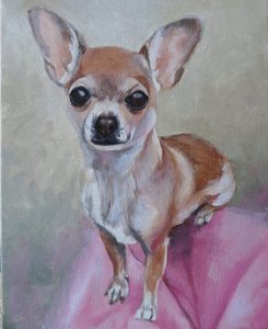 chihuahua portrait in progress 2
