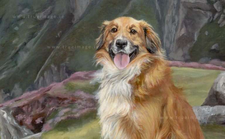 collie-painting