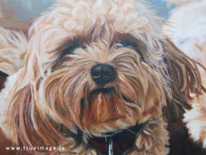 cavachon painting detail