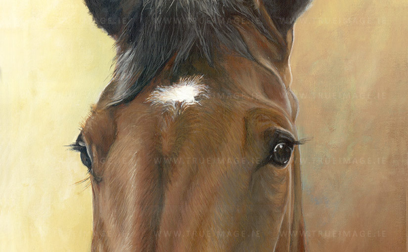horse painting in acrylic - detail