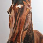 horse portrait in progress 2