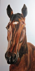 horse portrait in progress 2