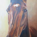 horse portrait in progress 4