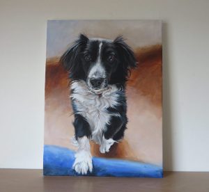 collie painting on stretched canvas
