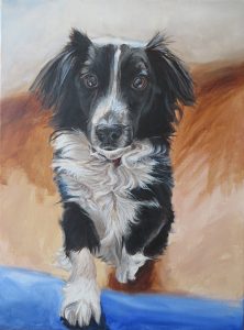collie painting step 4