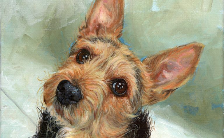 detail of a dog painting