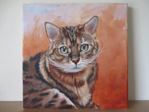 cat portrait canvas