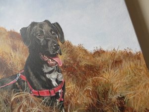 detail of a dog portrait