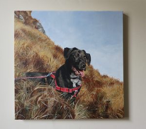 labrador dog portrait