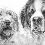 dog portrait of terrier and st bernard