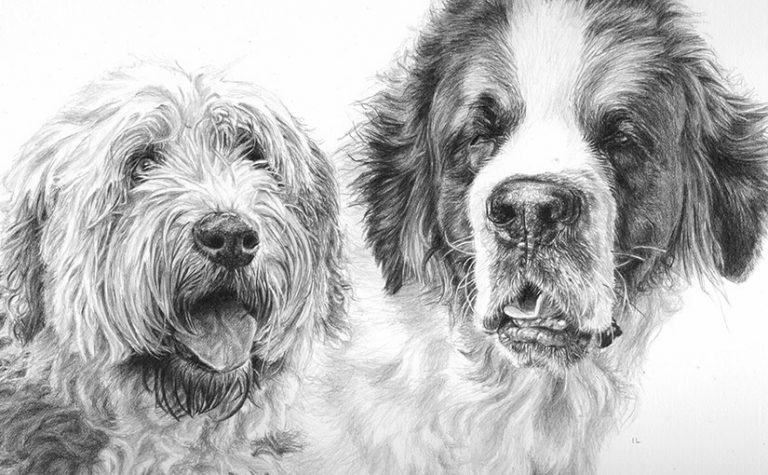 dog portrait of terrier and st bernard