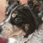 collie acrylic painting detail