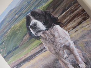 dog portrait close up
