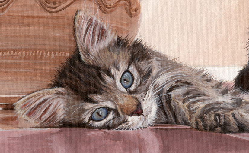 tabby cat portrait