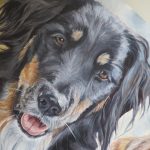 collie painting detail