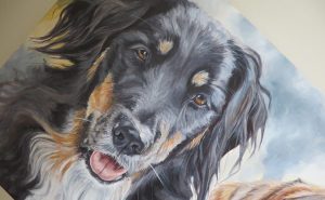 collie painting detail