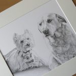 yorkie and lab drawing