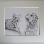 dog pencil drawing