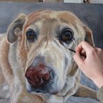 detailing a dog portrait