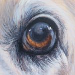 dog eye painting detail