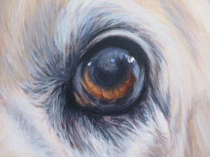 dog eye painting detail