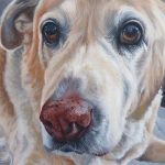 labrador painting