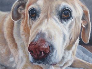 labrador painting