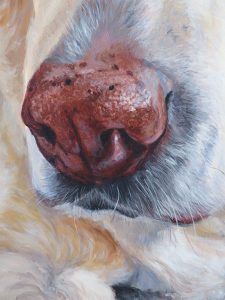 lab nose painting