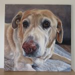 golden lab retriever in acrylic