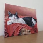 cat portrait canvas