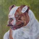 detailing portrait