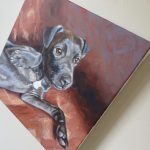 pet portrait