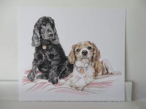 dog portrait on paper