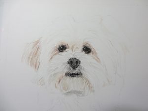 drawing progress 2