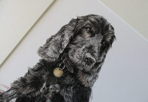 cocker spaniel dog portrait detail