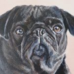 dog portrait detail